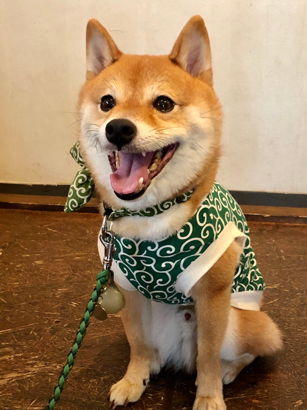 唐草模様でワンちゃんのお洋服